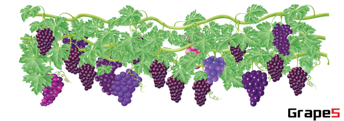 Fresh Grape Local Service